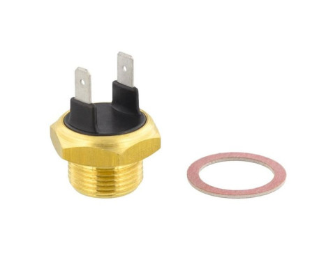 Temperature switch, radiator fan
