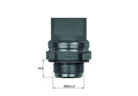 Temperature switch, radiator fan