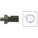 Oil Pressure Switch