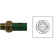 Oil Pressure Switch