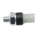 Oil Pressure Switch