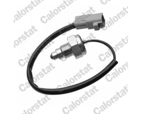 Switch, reverse light