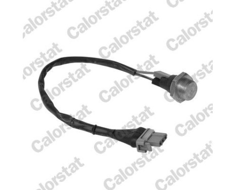 Temperature Switch, radiator fan