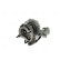 Turbo, Miniatura 4