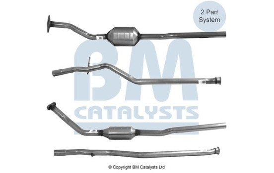 Convertidor catalítico Peugeot/Citroën, Imagen 2