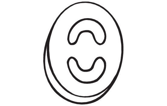 caucho de suspensión, Imagen 3