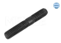 Tornillo, sistema de escape