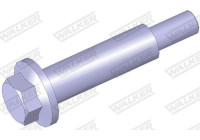 Tornillo, sistema de escape