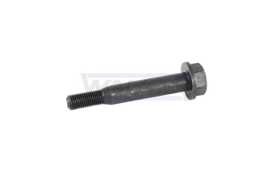 Tornillo, sistema de escape, Imagen 5