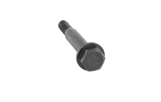 Tornillo, sistema de escape, Imagen 9