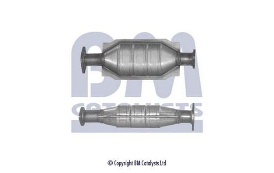 Convertidor catalítico Renault, Imagen 2