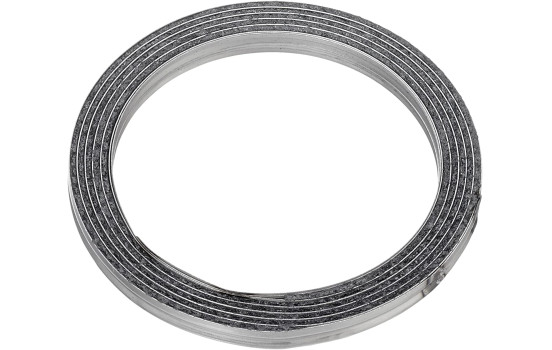 Anillo de sellado, tubo de escape