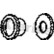 Anillo PSA, Miniatura 2