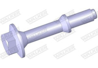 Tornillo, sistema de escape