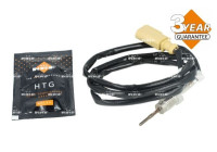 Sensor de temperatura de los gases de escape