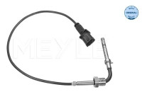 Sensor de temperatura de los gases de escape