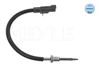 Sensor de temperatura de los gases de escape