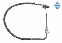 Sensor de temperatura de los gases de escape