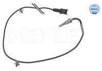 Sensor de temperatura de los gases de escape