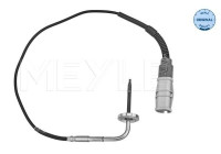 Sensor de temperatura de los gases de escape
