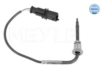Sensor de temperatura de los gases de escape