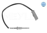 Sensor de temperatura de los gases de escape