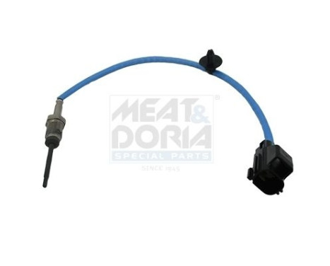 Sensor de temperatura de los gases de escape