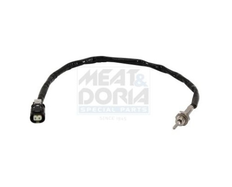 Sensor de temperatura de los gases de escape