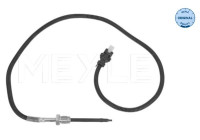 Sensor de temperatura de los gases de escape