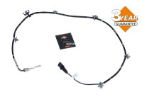 Sensor de temperatura de los gases de escape
