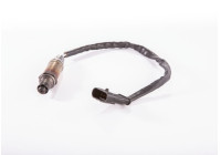SENSOR LAMBDA