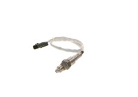 Sensor Lambda