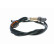 Sensor Lambda, Miniatura 10