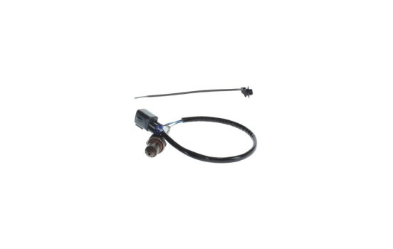 Sensor Lambda, Imagen 2