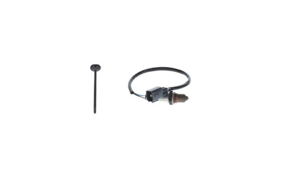 Sensor Lambda, Imagen 3