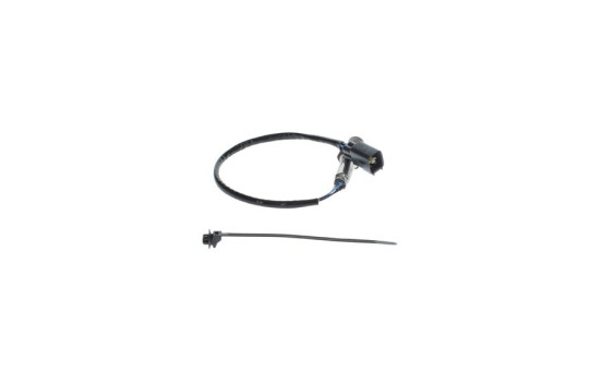 Sensor Lambda, Imagen 4