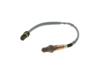 Sonda lambda