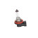 Bosch H11 12 V 55 W PGJ19-2, Miniatura 4