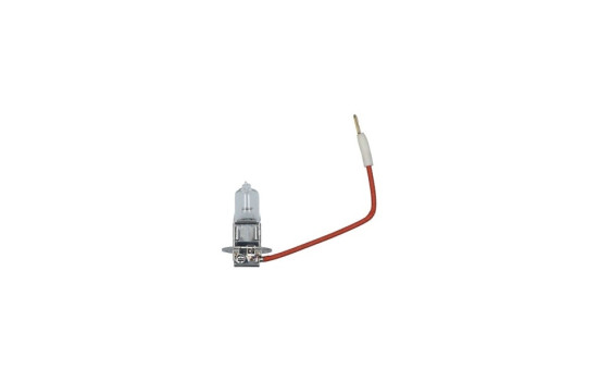 Carpoint Premium H3 12V55W, Imagen 3