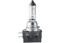 Hella Estándar H11B, 12V55W