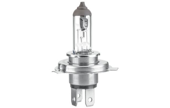 Hella Standard H19, 12V55W, Imagen 2