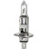 Lámpara halógena Clear Vision H1 55W/12V, por unidad (E13)