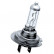 Philips LongLife Ecovision H7, Miniatura 2
