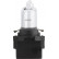 Philips Standard BAX10d, Miniatura 2