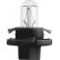 Philips Standard BAX8,4d, Miniatura 2