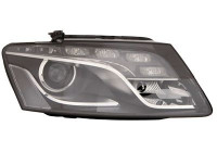 Faro 0380986 Van Wezel