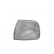 Intermitente delantero derecho TIPO III BLANCO 5875908 Van Wezel