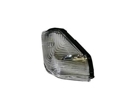 Señal de giro lateral para espejo exterior derecho 3077916 Van Wezel