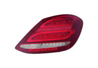 Luz trasera 1673097 Diederichs