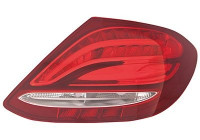 Luz trasera 2932922 Van Wezel